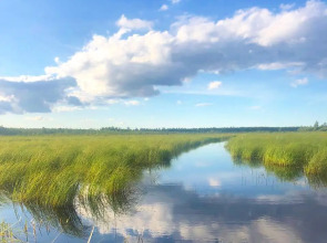Гостевой дом Ладога