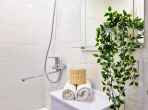 Апартаменты Бизнес класса Лимония