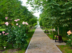 Южный берег Ейск