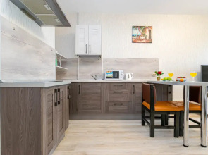 Апартаменты Cosmos Apart на Революции 54 (1)