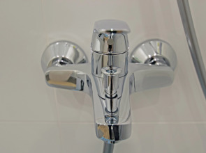 Апартаменты Василия Ощепкова 1