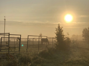 Гостевой дом Первая лошадь