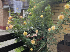 Гостевой Дом Курортный домик у Машука