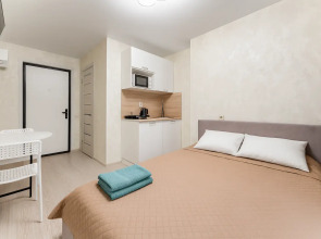 Апартаменты Студия с Новым Ремонтом у Метро Зюзино