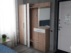 Отель Гостиница Платина