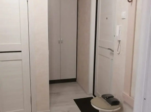 Апартаменты на Толстого 2