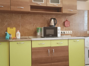 Апартаменты Горького 6/6/4