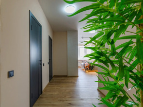 Квартира Дизайнерская 1 комнатная на берегу Волги