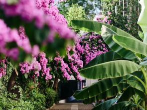 Отель Buyukada Splendid Palace