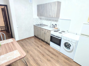 Квартира DailyRent-NN Апартаменты на Краснозвёздной рядом с Океанисом