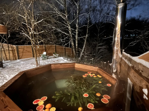 Гостевой дом Чкалов Дача