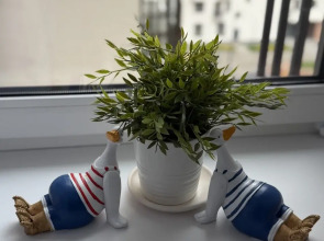 Квартира Студия Река в ЖК Сердце Ярославля с Алисой