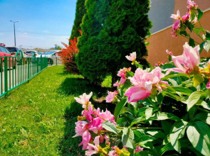 Апартаменты Mango Fresh