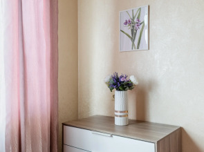 Квартира Евро-2 на Неве