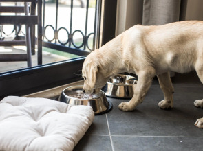 Отель Maya Bistro Beach