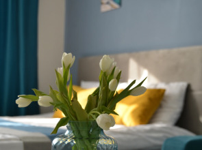 Квартира в Центре Нижнего Новгорода