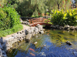 Апартаменты в Дримленд Оазис