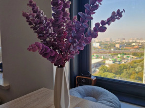 Апартаменты Penthouse Panorama