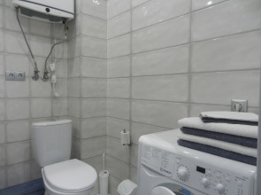 Апартаменты Однокомнатная квартира в центра Воронежа