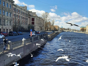 Апартаменты Ваш Питер 1