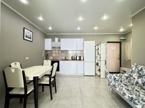 Квартира ЖК Посейдон 698 Мамайка однокомнатная (TrustControl)