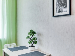 Апартаменты Однушка с мятным намеком