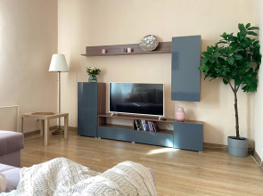 Квартира Fly Home аэропорт Шереметьево