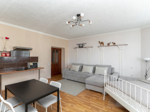 Апартаменты с Шикарным Видом на Кремль