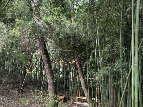 База отдыха Flora Place