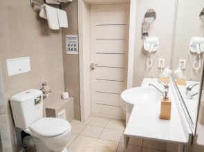 Отель Шишка