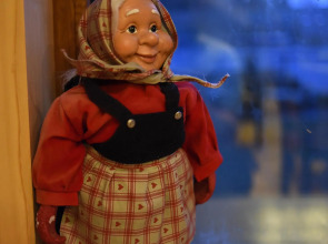 Гостевой Дом Вырицкий Мамонт