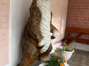 Мини-отель Подснежник