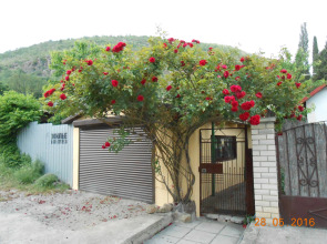 Частный дом Лазурное