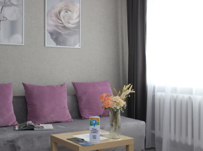 Апартаменты ВыДома на Энергетиков у Областной Больницы