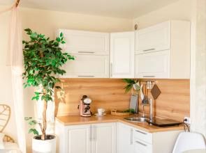 Квартира Студия с видом на Озеро