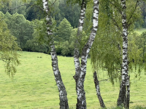 Частный дом Малый афрейм на Березовой