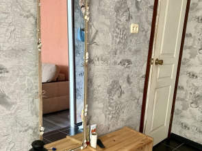 Апартаменты Однушка в центре на Емельянова