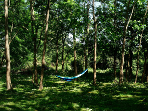 База отдыха Лыхны