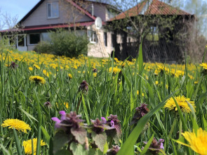 Гостевой дом Велия