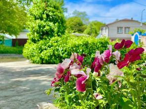 Апартаменты Лебедь