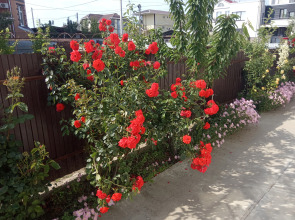 Гостевой дом Илим