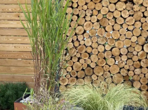 Гостевой дом Дюна