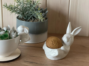 Частный дом в Токсово Озеро парк