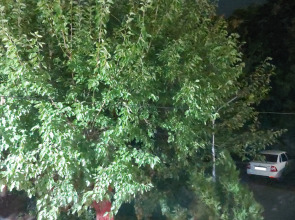 Апартаменты 2-х комнатная квартира на Расула Гамзатова