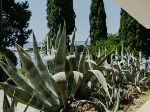 Amra Park Hotel & Spa