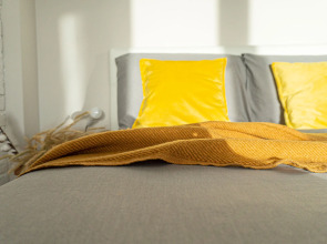 Апартаменты Горчица-2