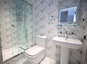 Отель AMIR PLAZA