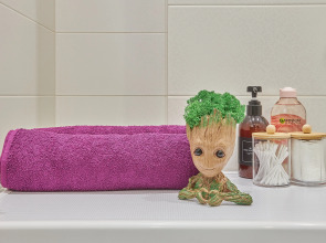 Квартира с Видом на Проспект