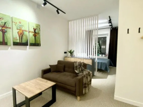 Апартаменты Sova_Mira Двух-зонный Loft