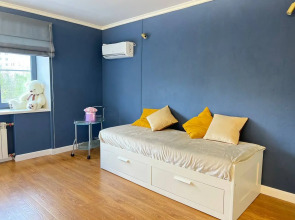 Квартира Толстой на Лейтейзена 3